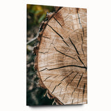 Rustic Farmhouse Wall Art – Tree Cross-Section for Natural Decor