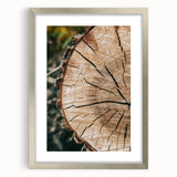 Rustic Farmhouse Wall Art – Tree Cross-Section for Natural Decor