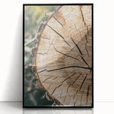Rustic Farmhouse Wall Art – Tree Cross-Section for Natural Decor