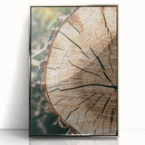 Rustic Farmhouse Wall Art – Tree Cross-Section for Natural Decor