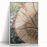 Rustic Farmhouse Wall Art – Tree Cross-Section for Natural Decor