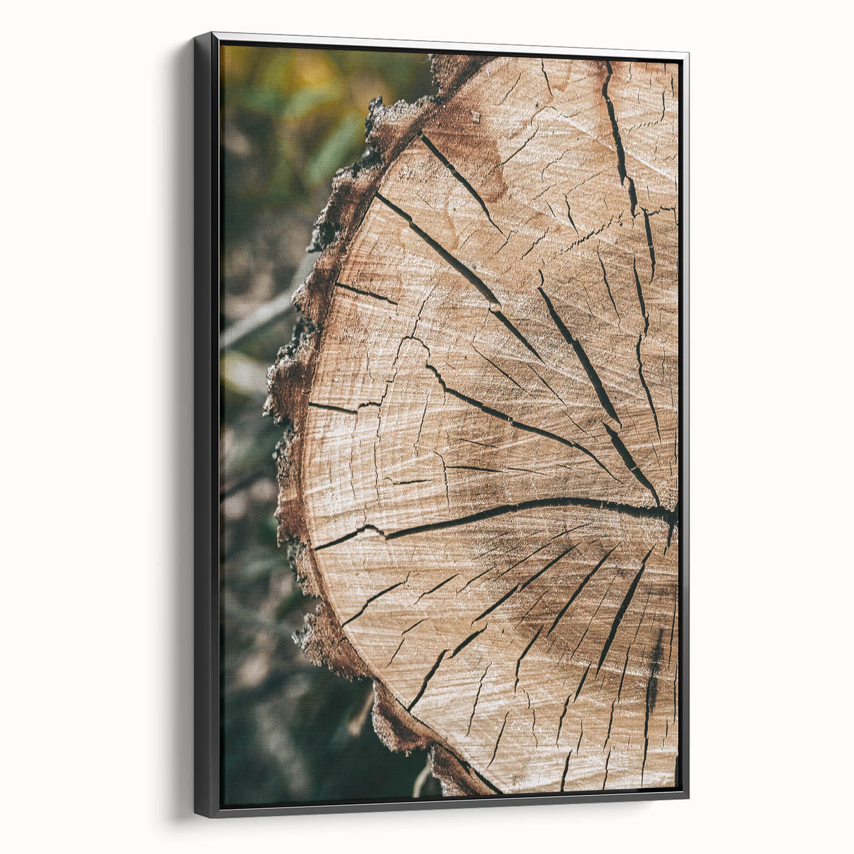 Rustic Farmhouse Wall Art – Tree Cross-Section for Natural Decor