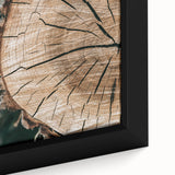 Rustic Farmhouse Wall Art – Tree Cross-Section for Natural Decor