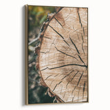 Rustic Farmhouse Wall Art – Tree Cross-Section for Natural Decor