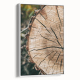 Rustic Farmhouse Wall Art – Tree Cross-Section for Natural Decor