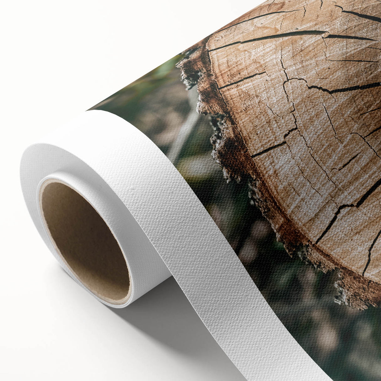 Rustic Farmhouse Wall Art – Tree Cross-Section for Natural Decor