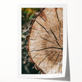 Rustic Farmhouse Wall Art – Tree Cross-Section for Natural Decor