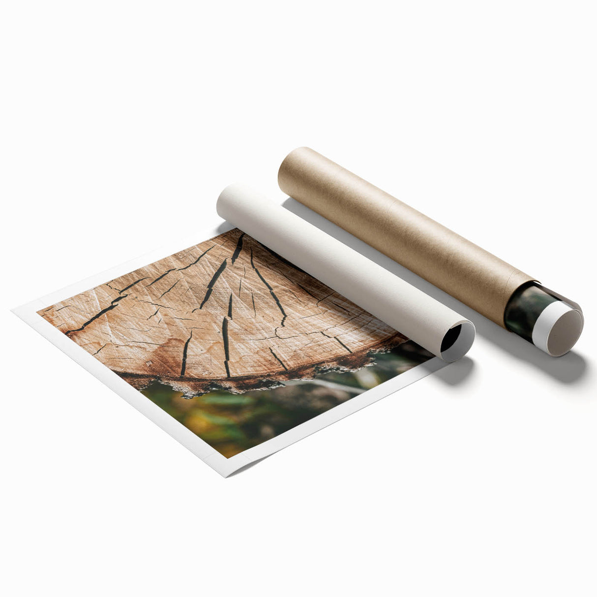 Rustic Farmhouse Wall Art – Tree Cross-Section for Natural Decor