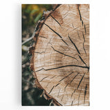 Rustic Farmhouse Wall Art – Tree Cross-Section for Natural Decor
