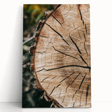 Rustic Farmhouse Wall Art – Tree Cross-Section for Natural Decor