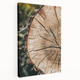 Rustic Farmhouse Wall Art – Tree Cross-Section for Natural Decor