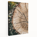 Rustic Farmhouse Wall Art – Tree Cross-Section for Natural Decor