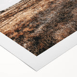 Farmhouse Wall Art – Wind Turbines in Open Field for Modern Rustic Decor