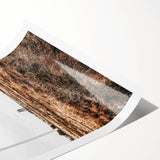 Farmhouse Wall Art – Wind Turbines in Open Field for Modern Rustic Decor