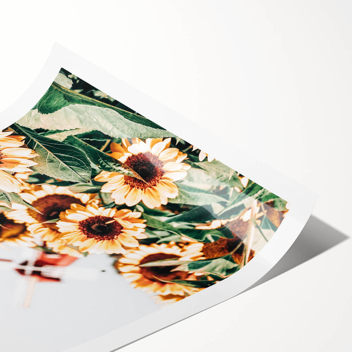 Farmhouse Wall Art – Bright Sunflowers with Rustic Windmill for Decor