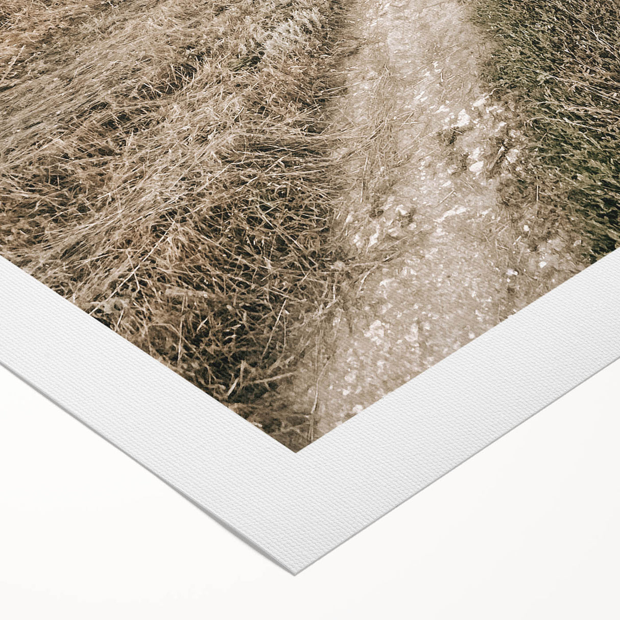 Farmhouse Wall Art – Rustic Path to Barn for Country Style Decor