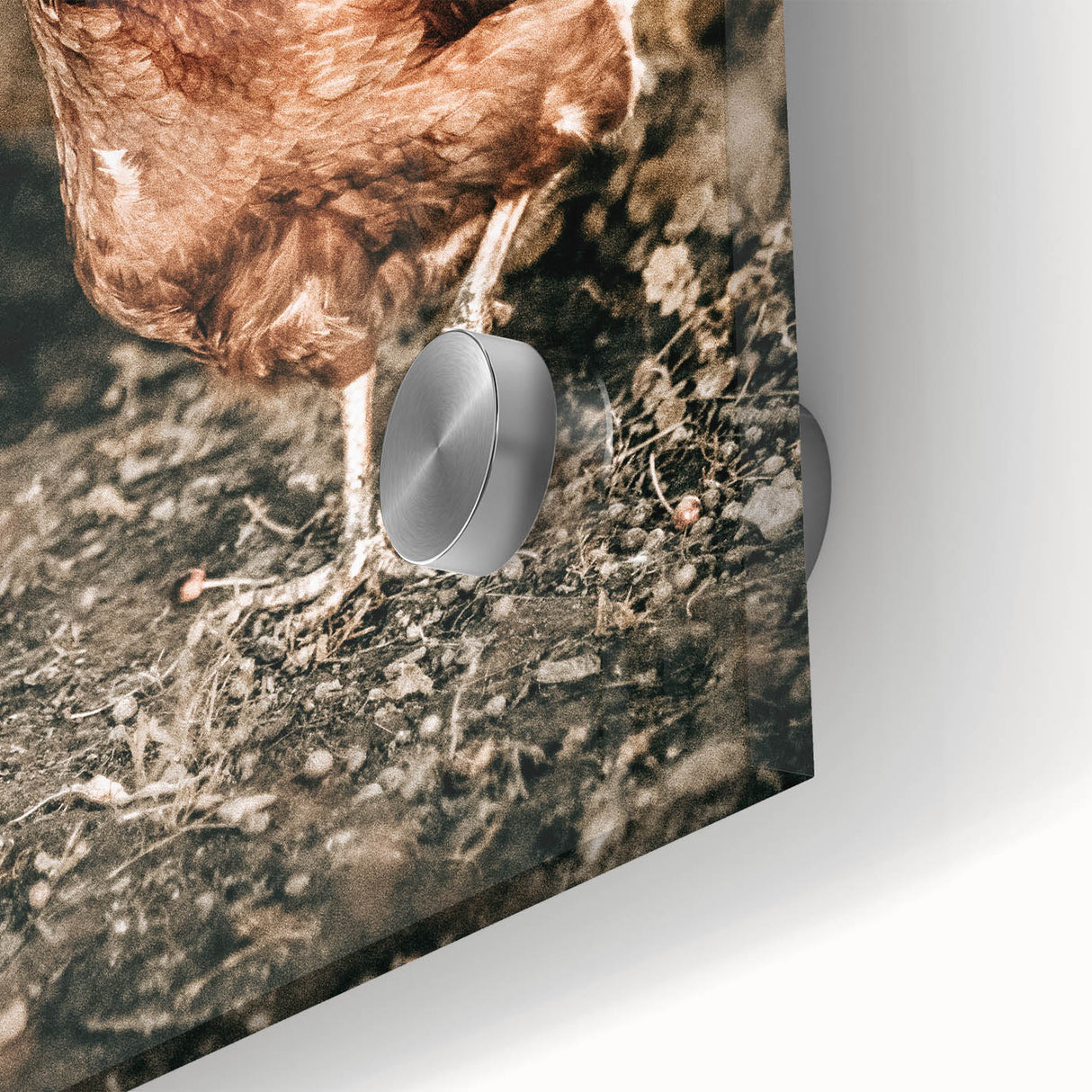 Farmhouse Wall Art – Rustic Chicken Scene for Country Style Decor