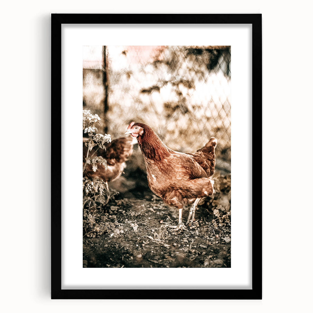 Farmhouse Wall Art – Rustic Chicken Scene for Country Style Decor