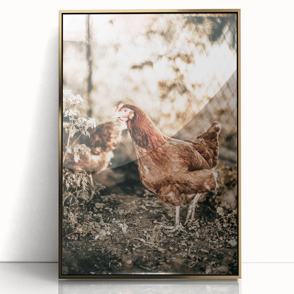 Farmhouse Wall Art – Rustic Chicken Scene for Country Style Decor