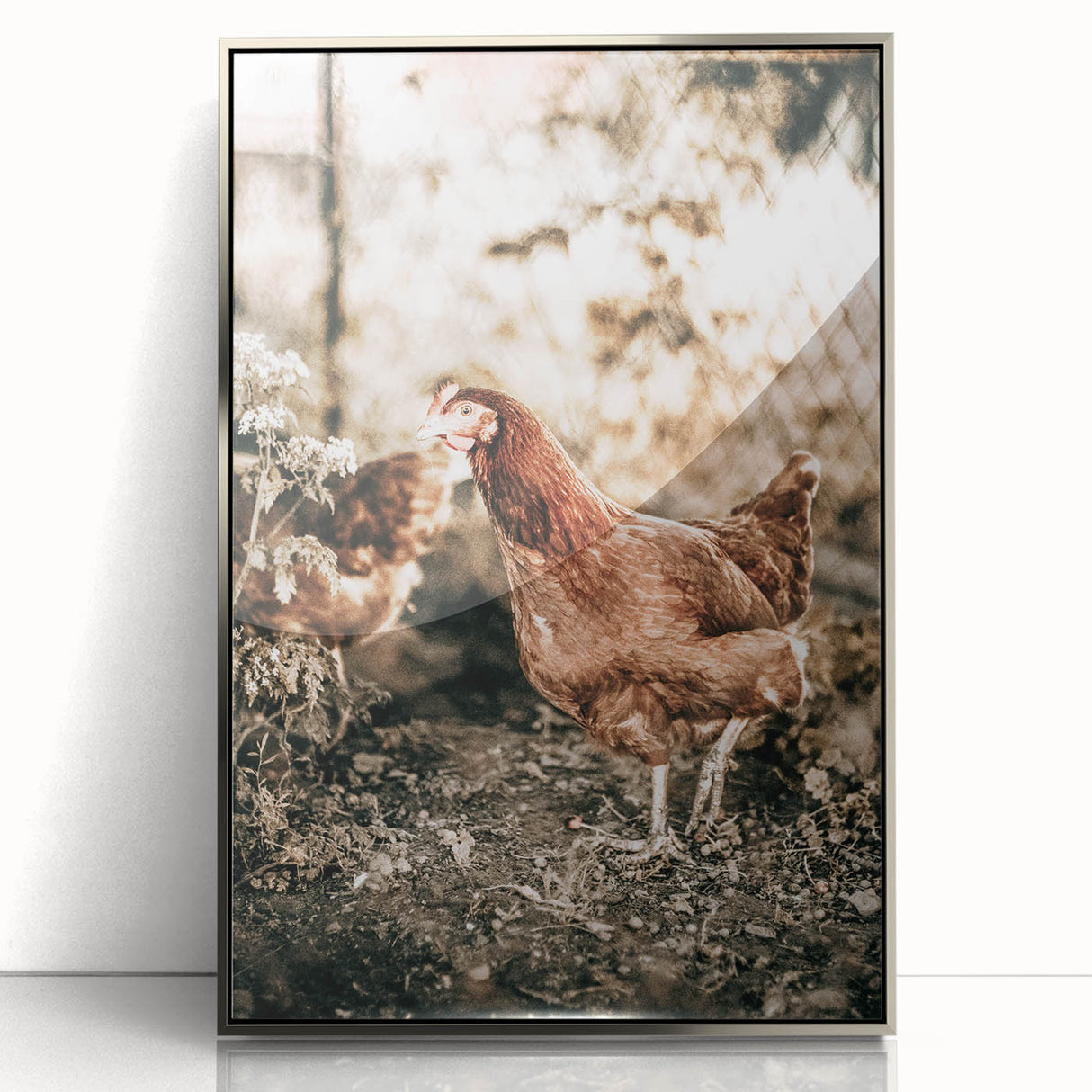 Farmhouse Wall Art – Rustic Chicken Scene for Country Style Decor