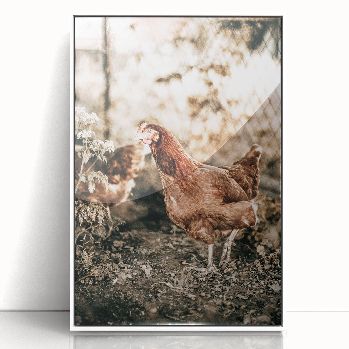 Farmhouse Wall Art – Rustic Chicken Scene for Country Style Decor