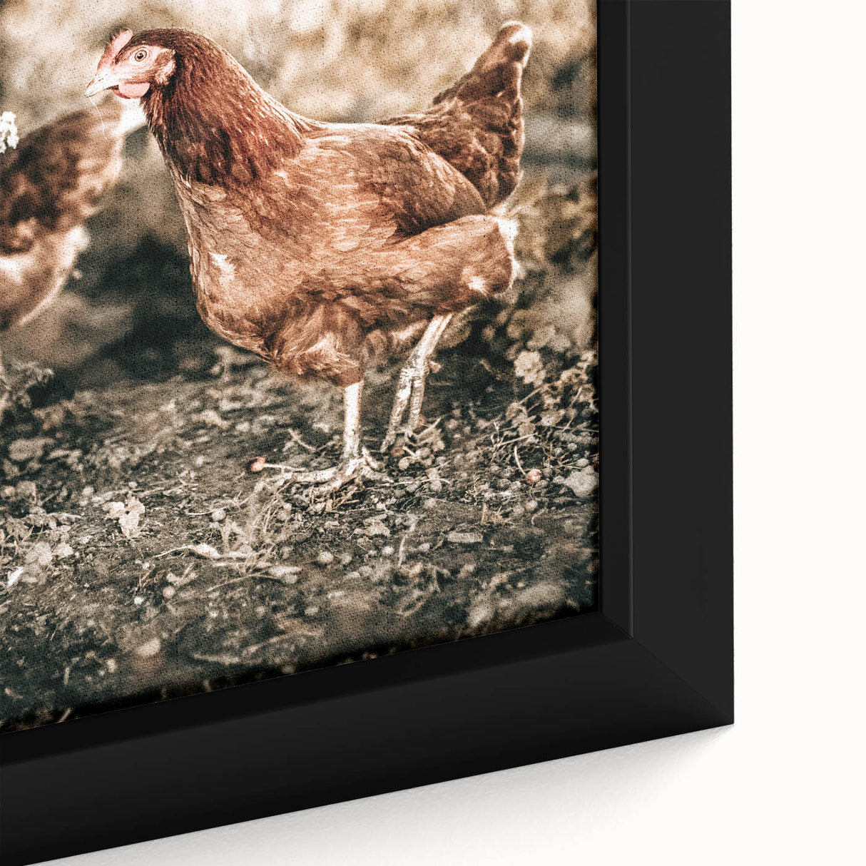 Farmhouse Wall Art – Rustic Chicken Scene for Country Style Decor
