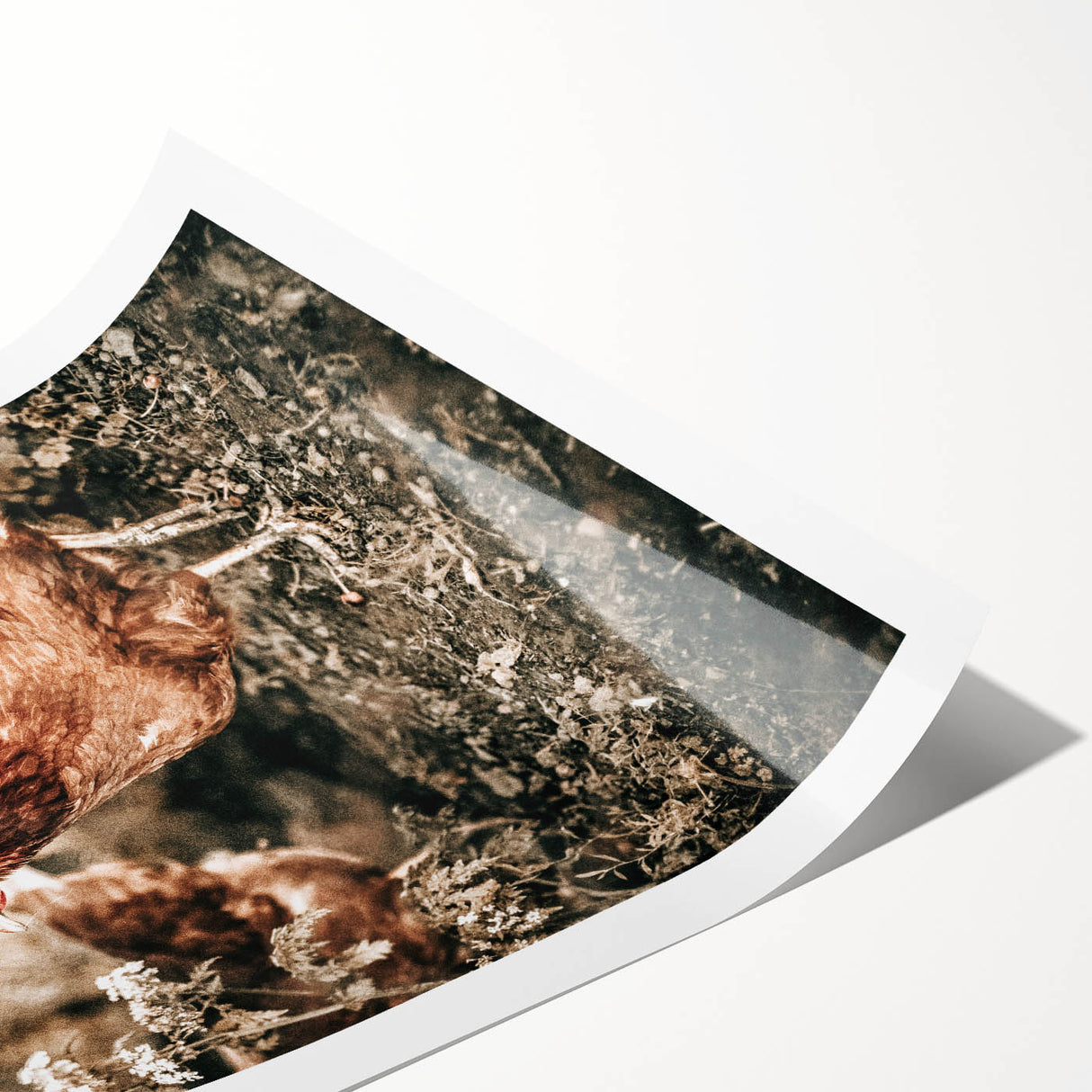 Farmhouse Wall Art – Rustic Chicken Scene for Country Style Decor