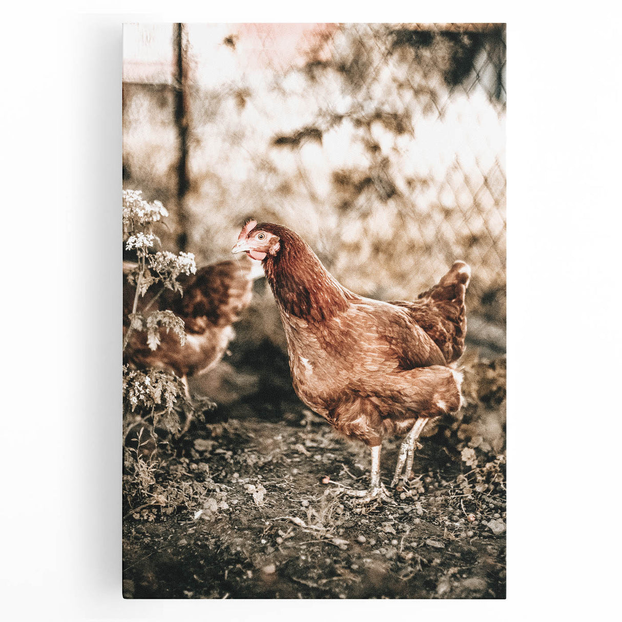 Farmhouse Wall Art – Rustic Chicken Scene for Country Style Decor