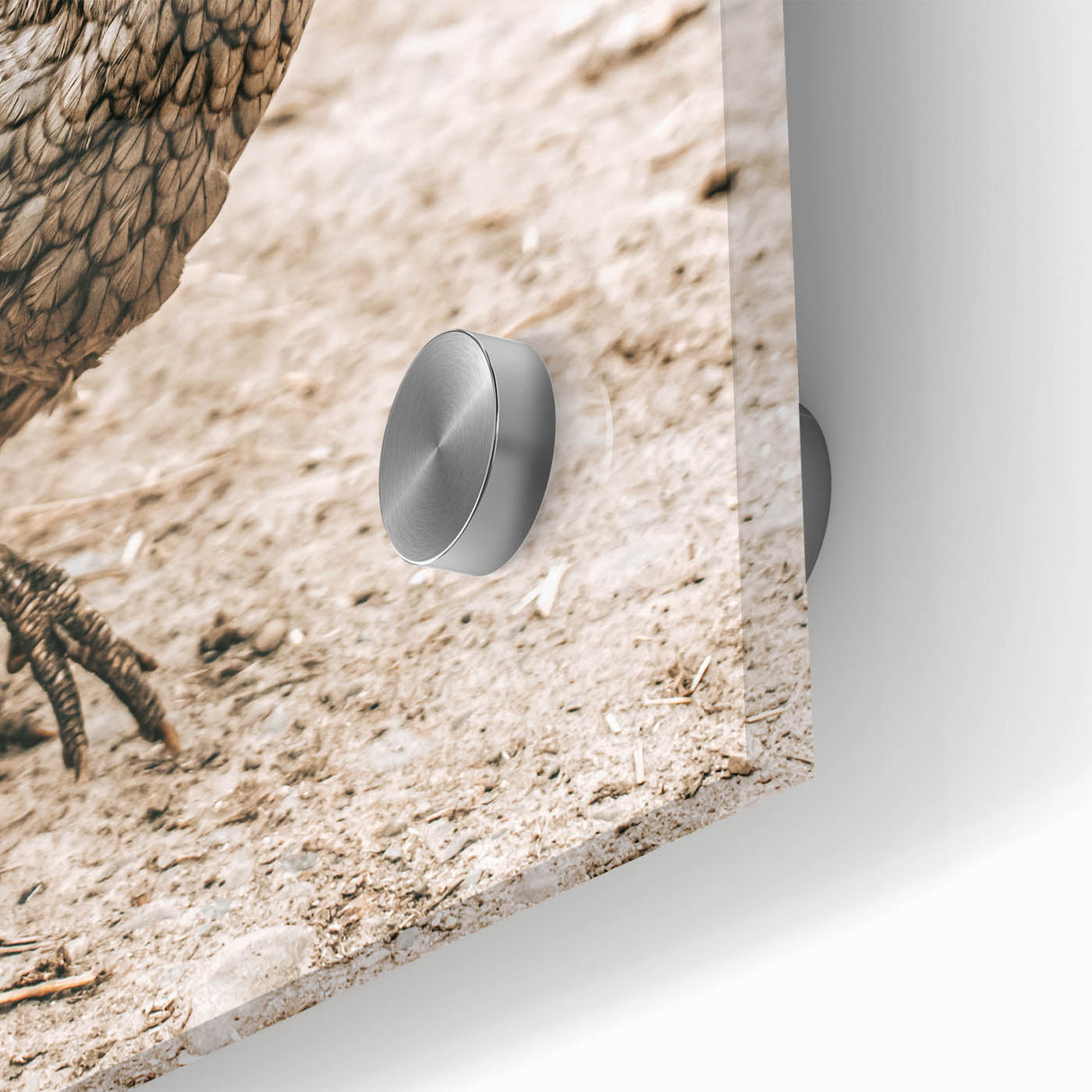 Farmhouse Wall Art – Rustic Chicken in Farmyard Scene for Country Decor