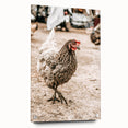Farmhouse Wall Art – Rustic Chicken in Farmyard Scene for Country Decor