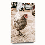 Farmhouse Wall Art – Rustic Chicken in Farmyard Scene for Country Decor