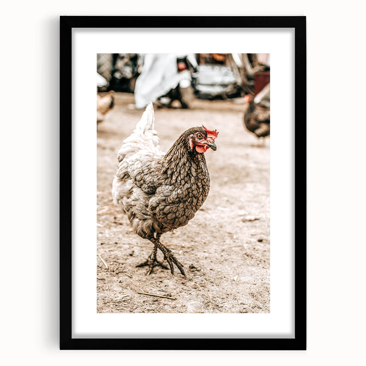 Farmhouse Wall Art – Rustic Chicken in Farmyard Scene for Country Decor