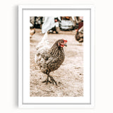 Farmhouse Wall Art – Rustic Chicken in Farmyard Scene for Country Decor