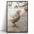 Farmhouse Wall Art – Rustic Chicken in Farmyard Scene for Country Decor
