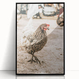 Farmhouse Wall Art – Rustic Chicken in Farmyard Scene for Country Decor