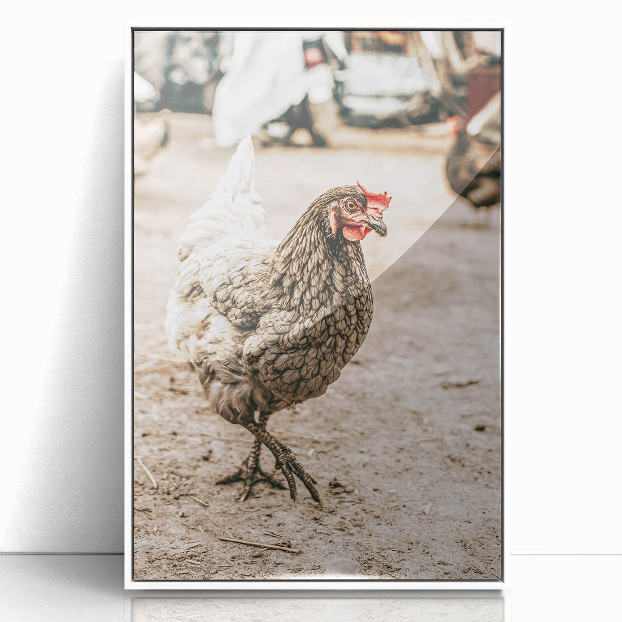 Farmhouse Wall Art – Rustic Chicken in Farmyard Scene for Country Decor