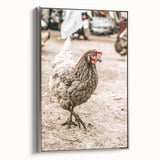 Farmhouse Wall Art – Rustic Chicken in Farmyard Scene for Country Decor