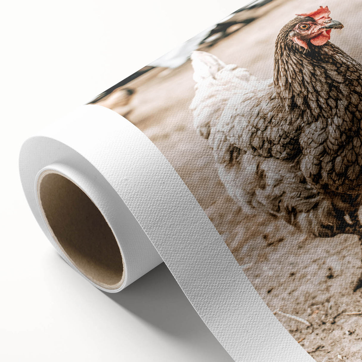 Farmhouse Wall Art – Rustic Chicken in Farmyard Scene for Country Decor