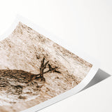 Farmhouse Wall Art – Rustic Chicken in Farmyard Scene for Country Decor