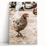 Farmhouse Wall Art – Rustic Chicken in Farmyard Scene for Country Decor