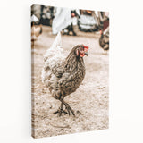 Farmhouse Wall Art – Rustic Chicken in Farmyard Scene for Country Decor