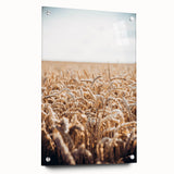 Farmhouse Wall Art Wheat Field Print | Rustic Country Harvest Decor