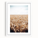 Farmhouse Wall Art Wheat Field Print | Rustic Country Harvest Decor