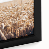 Farmhouse Wall Art Wheat Field Print | Rustic Country Harvest Decor