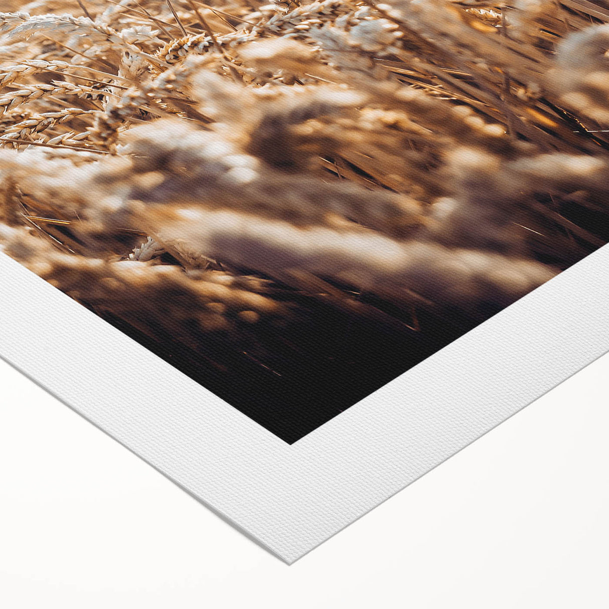 Farmhouse Wall Art Wheat Field Print | Rustic Country Harvest Decor