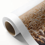 Farmhouse Wall Art Wheat Field Print | Rustic Country Harvest Decor