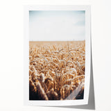 Farmhouse Wall Art Wheat Field Print | Rustic Country Harvest Decor