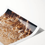 Farmhouse Wall Art Wheat Field Print | Rustic Country Harvest Decor