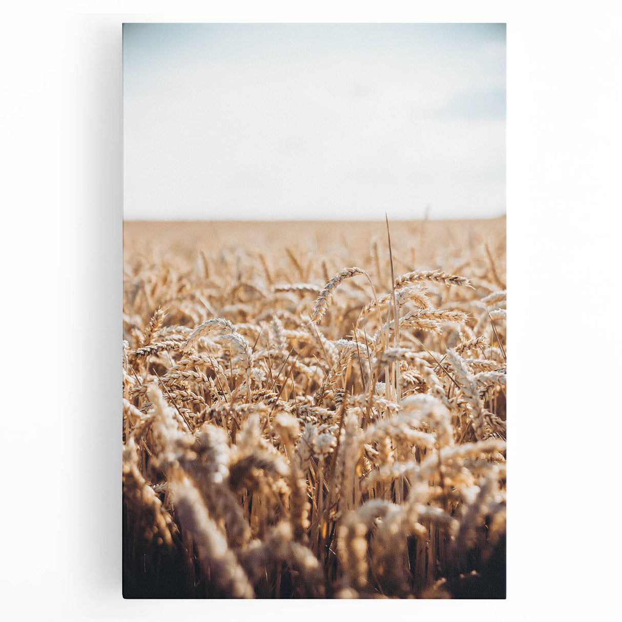 Farmhouse Wall Art Wheat Field Print | Rustic Country Harvest Decor