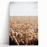 Farmhouse Wall Art Wheat Field Print | Rustic Country Harvest Decor